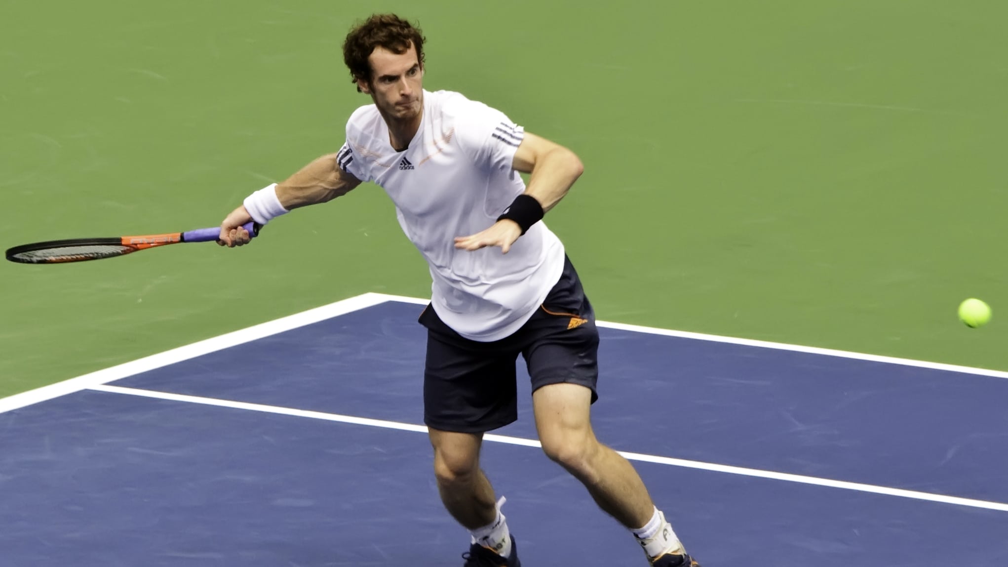 andy murray recovery